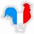 Risultato immagine per gallo simbolo francese